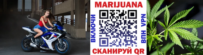купить наркотики цена  Сальск  Шишки марихуана SATIVA & INDICA 